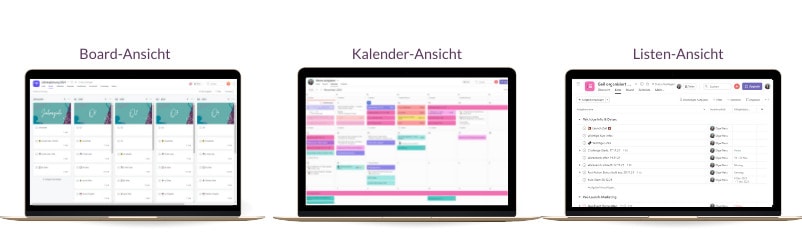Unterschiedliche Projektansichten in asana